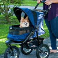Pet Stroller